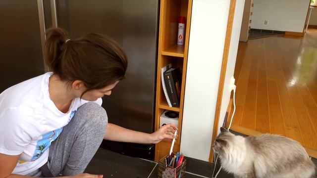 Мотивация на уборку кухни ?| Мою холодильник | Убираю ящик под раковиной смотреть онлайн