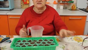 Виола (анютины глазки). Посев и пикировка виолы. (01.02.17)
