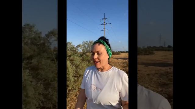 Путешествие LIFIforWOOD по Астраханской области часть1