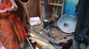 История Кубанского края, Станица Должанская, Ейский район, лекция,17.06.2022 , часть 1.