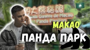 ПАНДА ПАРК КИТАЙ | МАКАО | ПАРОМ ДО ГОНКОНГА ??  РОЗОВЫЙ ФЛАМИНГО