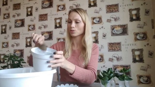 Каланхоэ. Размножение, укоренение, посадка черенков. ЧАСТЬ 2. смотреть онлайн