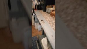 шина для циркулярной пилы bosch своими руками