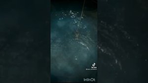 Подборка из тик тока ГАРРИ ПОТТЕР