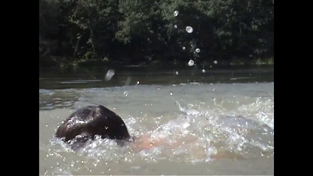 Я тело в кресло уроню... смотреть онлайн