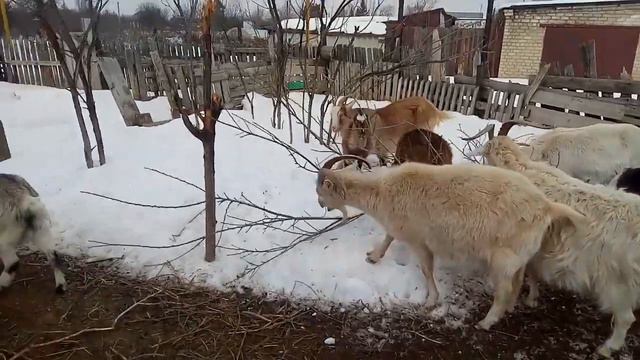 Знаки в жизни смотреть онлайн