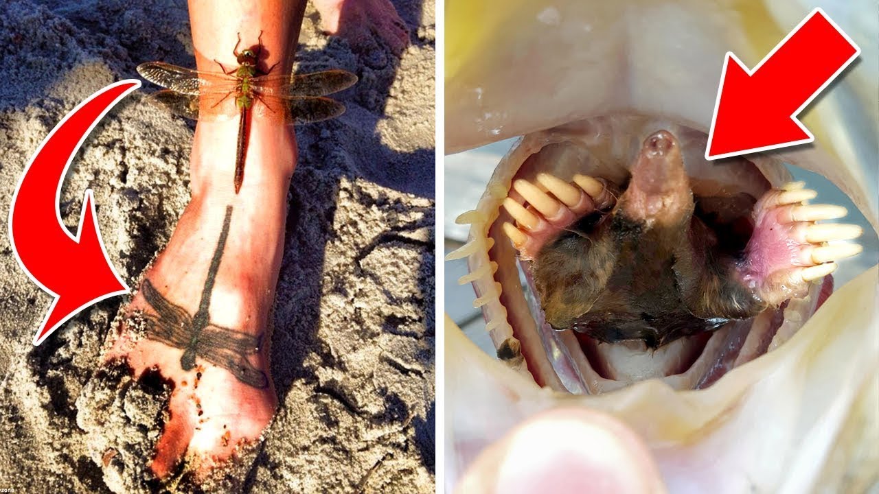 Совпадения на Миллион. Часть 7 смотреть онлайн