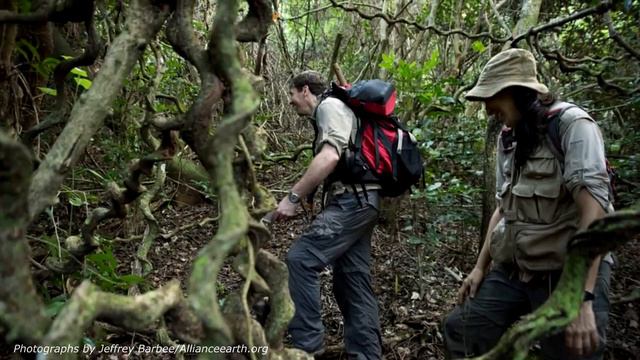 Затерянный мир на горе Лико, что там нашли Самые необычные островные горы на Земле смотреть онлайн