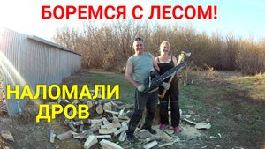 Пилим деревья вдоль забора. Запасаемся дровами.