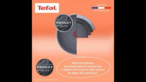 Сковорода со съемной ручкой Tefal Ingenio Natural Force L3968302 22