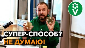 ФИТОФТОРА ПОМИДОРОВ - поможет ли медная проволока?