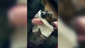 Рота ГСМ,2015-2016, 4 ТАНКОВАЯ КАНТЕМИРОВСКАЯ ДИВИЗИЯ,НА ПАМЯТЬ,АРМИЯ ,НАРО-ФОМИНСК