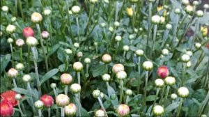 Часть 2 ???️ повести "Когда происходят чудеса". Уроки веры.  Христианские рассказы