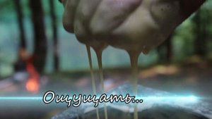 Дикая кухня