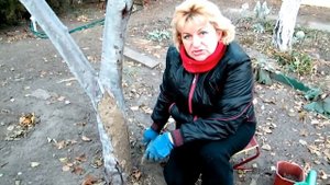 СПАСАЕМ ДЕРЕВЬЯ ОСЕНЬЮ!!! ЛЕЧИМ КОРУ ДЕРЕВЬЕВ!!! ТРЕЩИНЫ НА ДЕРЕВЕ