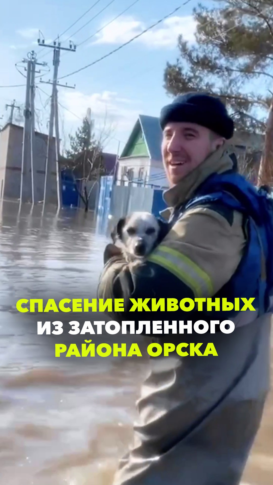 Животных вывозят из затопленных районов в Орске. Видео МЧС России