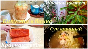 Vlog Квашеная капуста в банке.Солю красную рыбу Куриный  суп с лапшой Покупки