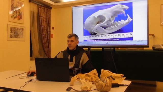 А. Белов ДЕГРАДАЦИЯ ЧЕЛОВЕКА: ДО КАКОЙ СТЕПЕНИ?