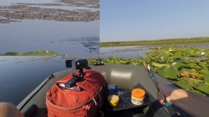 Ловля мирной рыбы на КУКУРУЗУ I озеро Орловское