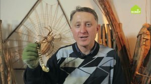 ПЛЕТЁМ ИЗ ИВЫ. Как оплести предметы быта ивовой лентой