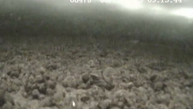 Чертик среди окуней смотреть онлайн