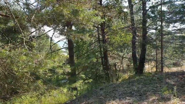 Влог.Едем в гости.Ремонт на даче.Устанавливаем дверь и наличники. Дачный влог.Мое утро