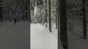 Сказочный зимний лес 17.12.2022 На лыжной трассе в ГАБО.
