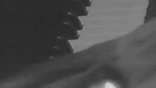 Dawn by Beatrice Ohanessian (Part 2/2) смотреть онлайн