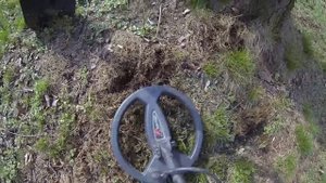 One tree, one ring :-) . Xp Gmaxx II, Metal detecting, Tresure hunting, hledání detektorem kovů.
