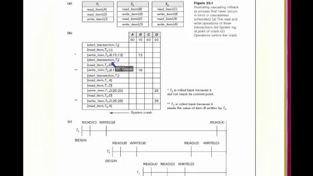IT344 - Chapter 23 - Database recovery techniques - By Hala Ayash