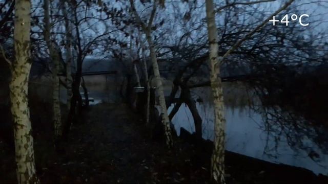 Славянск. 1 декабря 2023г. Вечер. смотреть онлайн