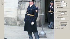 Лучшие способы выделения сложных объектов в Photoshop