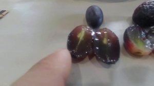 Хранение винограда до Нового года