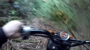 Терехово, эндуроскутожопа. Honda Zoomer