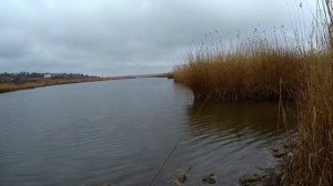 Поиски тарани в реке Миус.