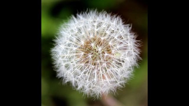 КАК ОБРЕСТИ ЦЕЛОСТНОСТЬ Переход в 5 Измерение 2019 Отец АБСОЛЮТ приняла Марта смотреть онлайн