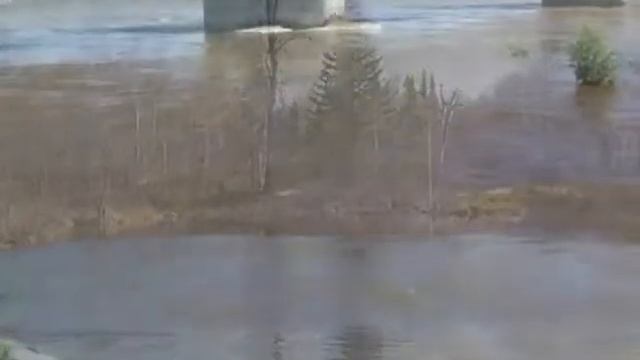 про Березовый смотреть онлайн