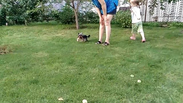 Ярик на даче Тольятти с соней смотреть онлайн