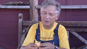 Селекция лука шалот Кировской области