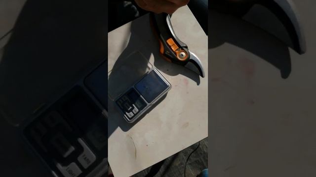 Мускат Дубовский 30.09.2023 смотреть онлайн