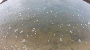 Село Духовое , Лискинский район рассказ о селе, и генерале Грибкове А.И., съёмка 25.01.2020