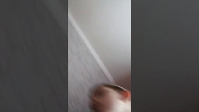 как правильно стрелять