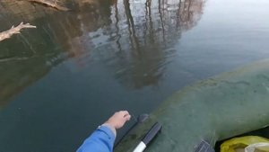 Последняя рыбалка/р.Алатырь/вся щука в корягах.