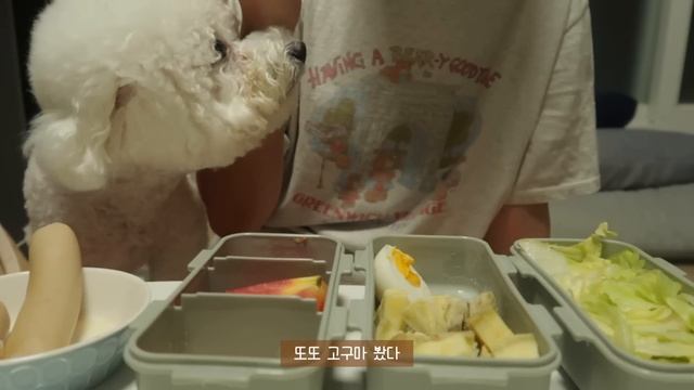 SUB)?느슨해진 유지어터 생활에 긴장감을 불어넣은 단.고.야 샐러드? 다이어트 브이로그 | 퍽퍽한 밤고구마 오픈 | 7가지 샐러드 식단 | 눈바디, 간헐적단식, 클린식 레시피