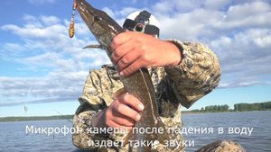 СПИННИНГ НА РЕКЕ КОНДАС. ЛОВЛЯ ЩУКИ