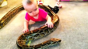 Собака увидела, что к ребенку ползет ЗМЕЯ. Оставались доли секунды