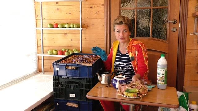 Как сделать биогумус самостоятельно с использованием дождевых червей