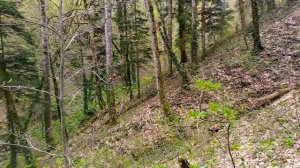 Дорога к Большой Фанагорийской пещере (24 апреля 2021)