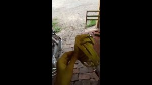 ручкин день // корзинка из бересты // начало сахарницы