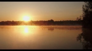 Утренние Аффирмации на каждый день. Создание Идеального Дня